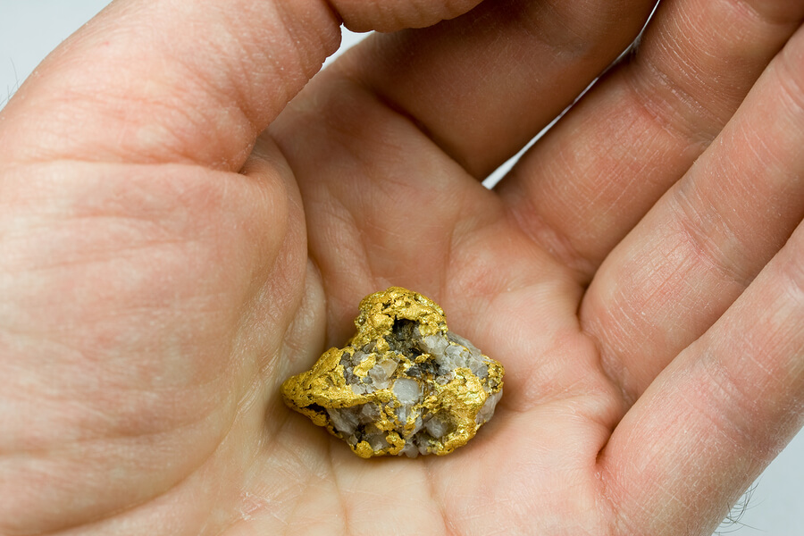 Gold Prospector in Australia